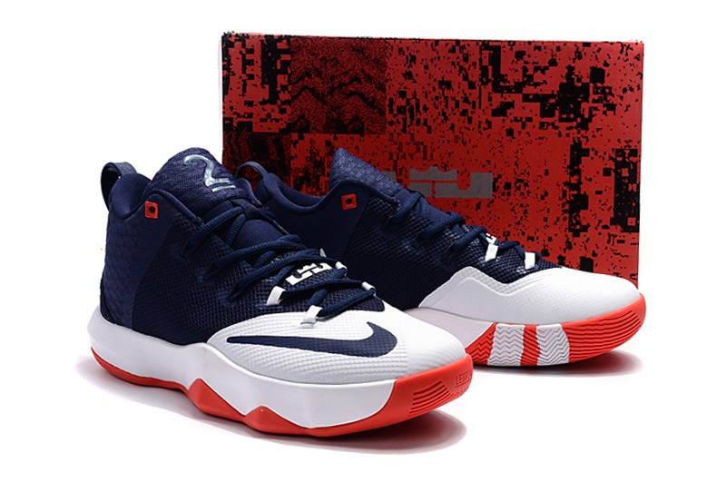 Nike Lebron Ambassador VIII