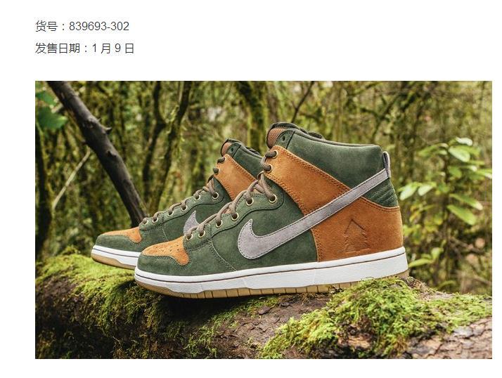 Nike SB Dunk High Premium Homegrown Forest Shoes